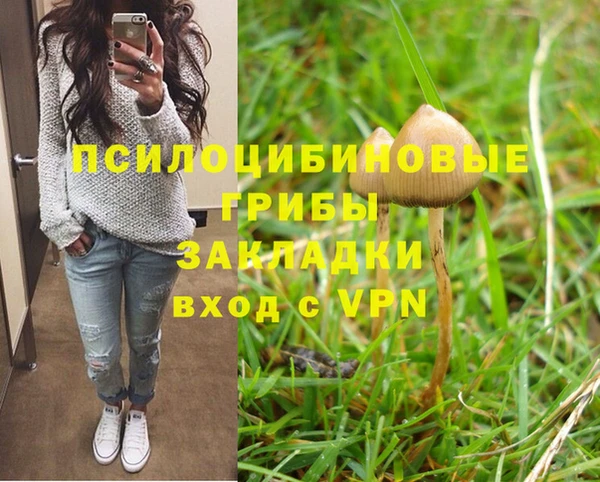 гидра Зеленодольск