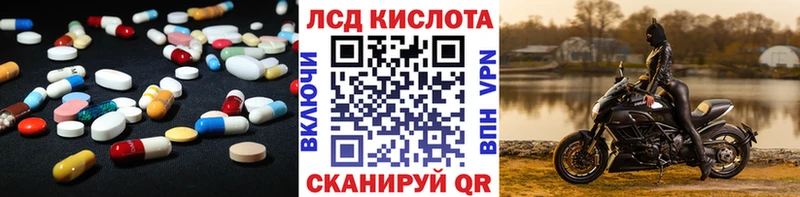 Купить закладки  Подпорожье  Лсд 25 экстази кислота 